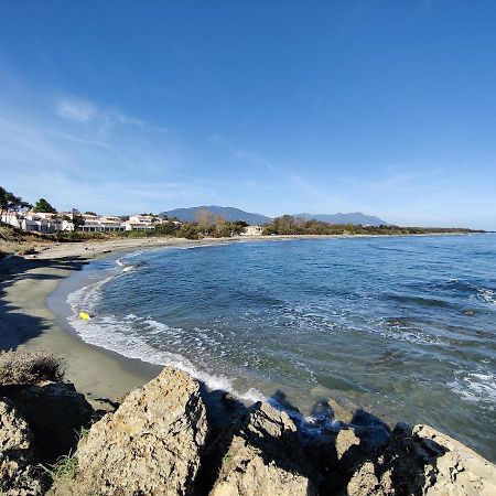 Corse, Residence Marina Di Bravone, Acces Direct Plage Linguizzetta Exterior foto