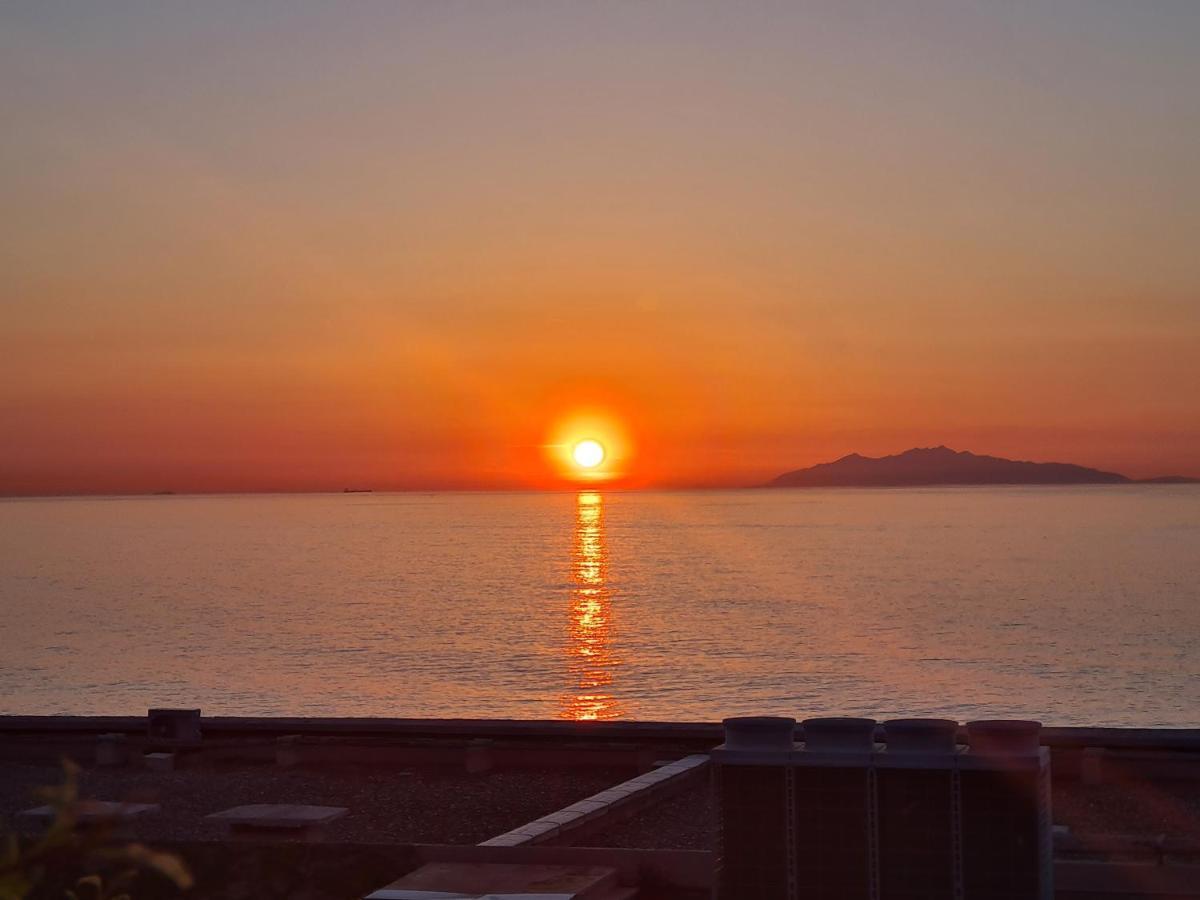Corse, Residence Marina Di Bravone, Acces Direct Plage Linguizzetta Exterior foto