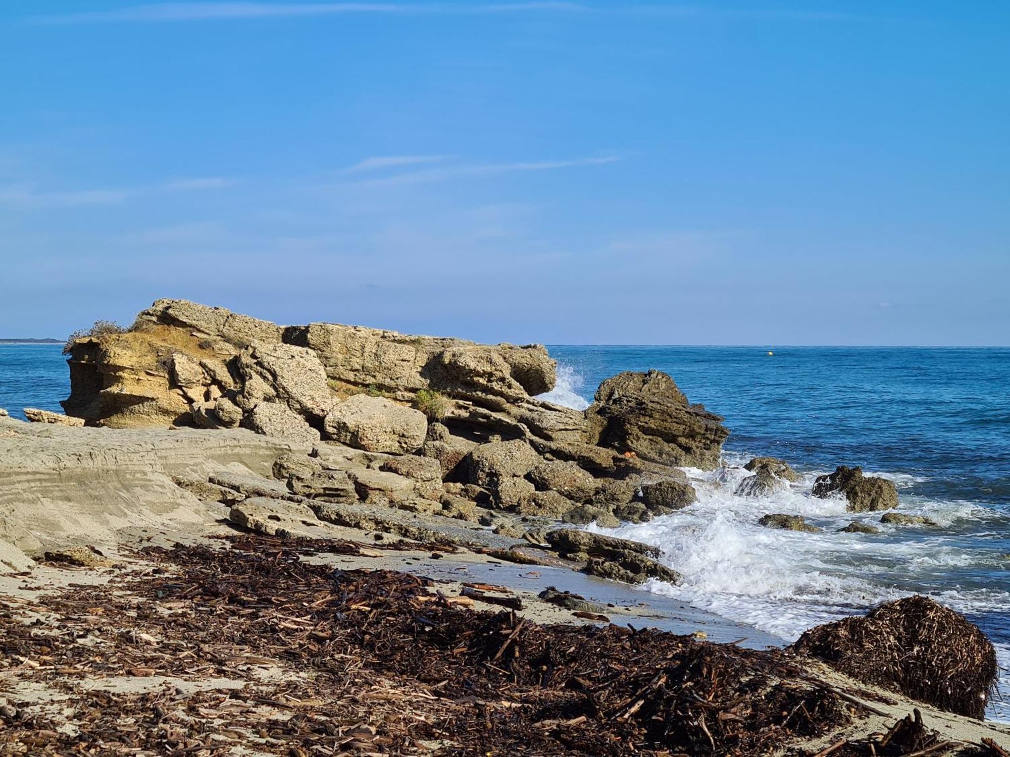 Corse, Residence Marina Di Bravone, Acces Direct Plage Linguizzetta Exterior foto
